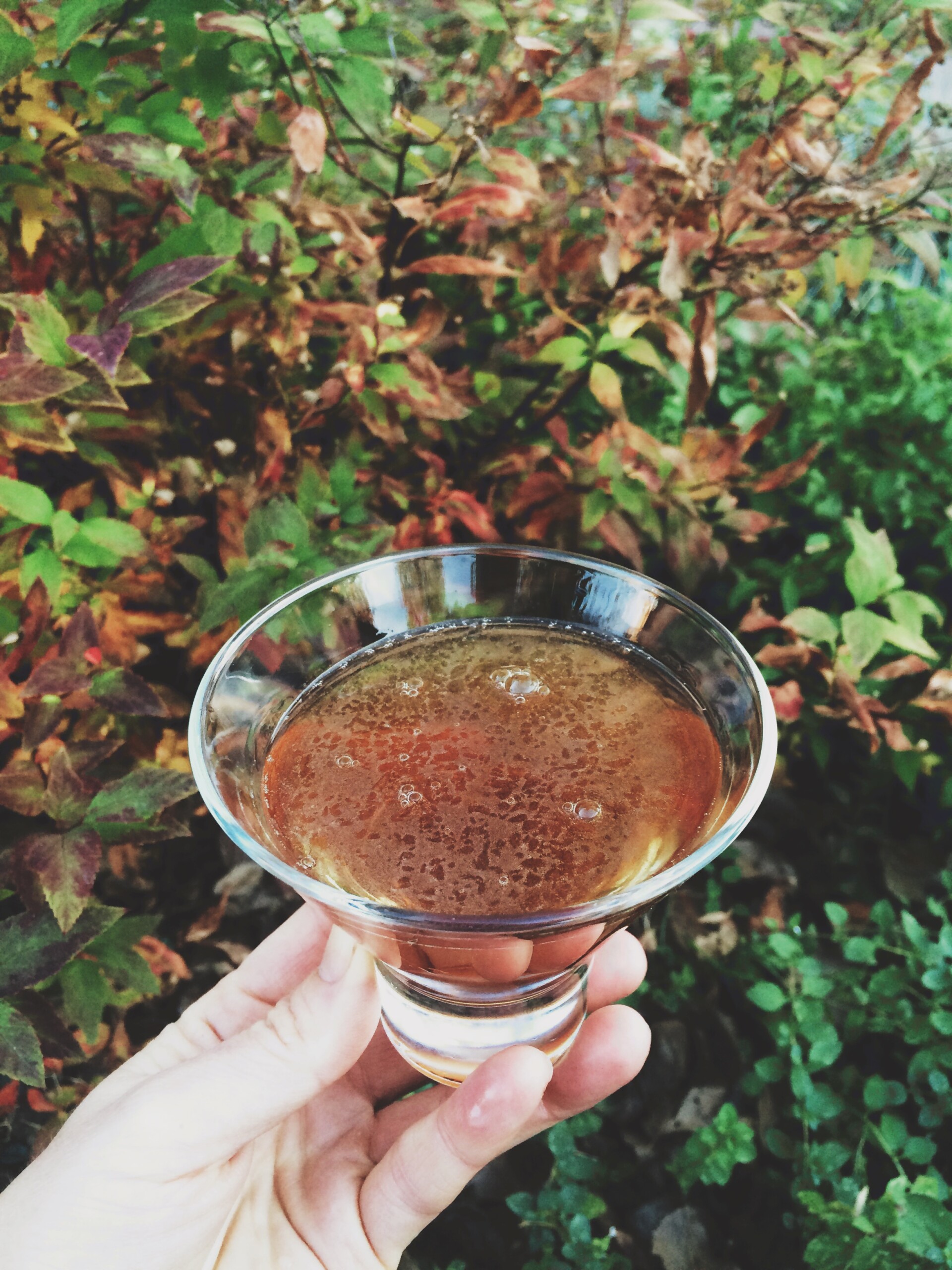 hand holding martinez cocktail in the garden