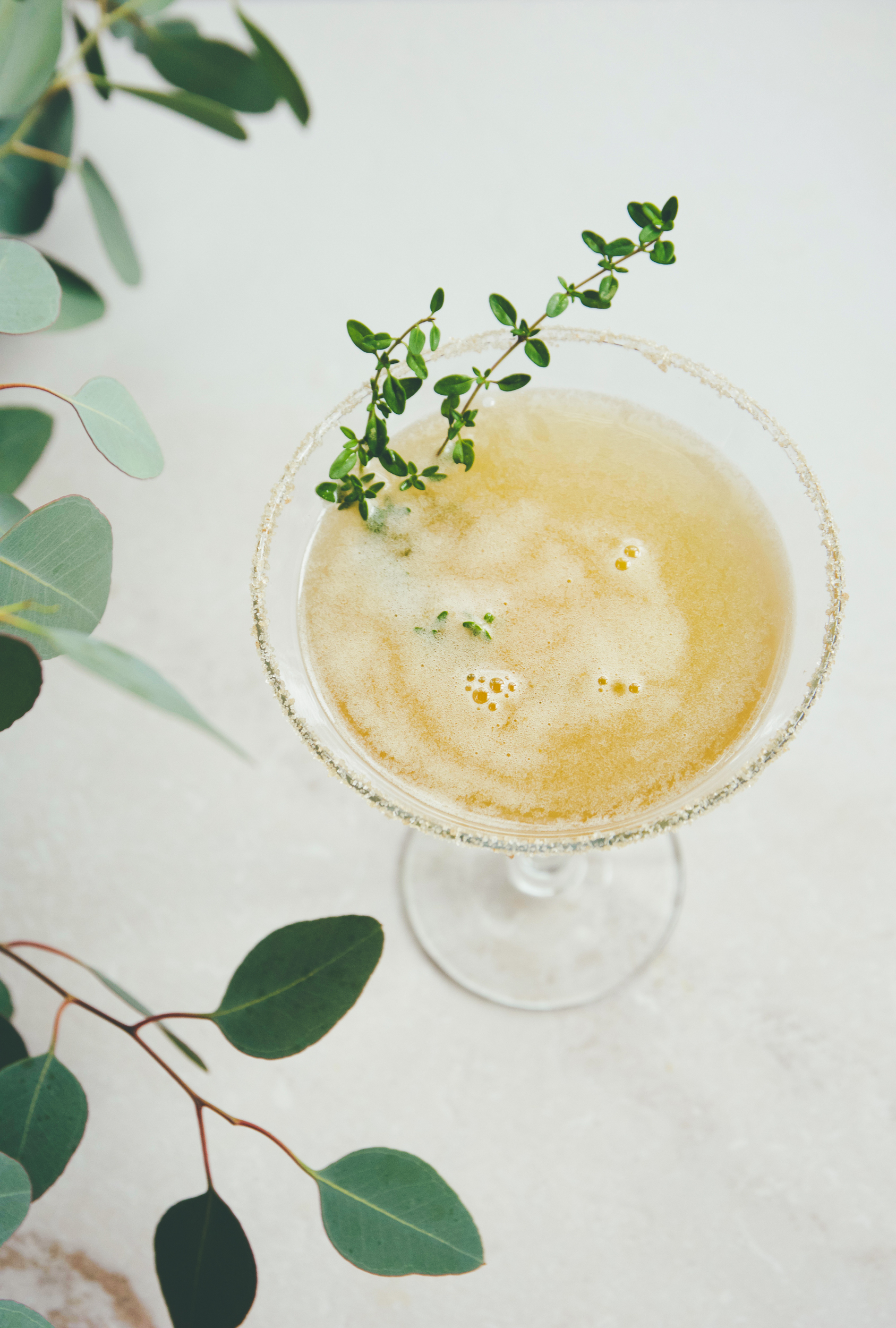 The Best Philly Sidecar Variations: A Comparative Guide! - ifys1ut